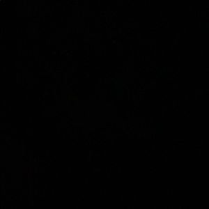 Meet your Posher, Tamari